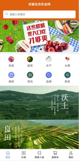 安徽生态农业网数字云平台 专注新鲜果蔬 健康生活(图3)